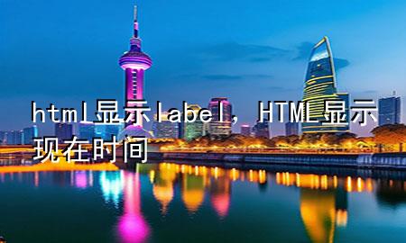 html显示label，HTML显示现在时间