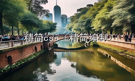 精简css（精简编制）