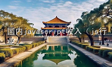 国内javascript收入（js行业）