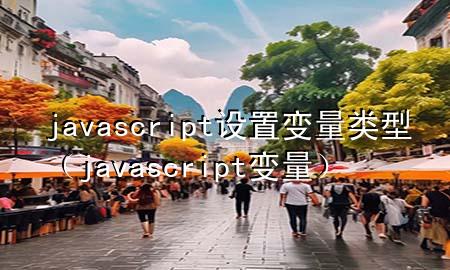 javascript设置变量类型（javascript 变量）