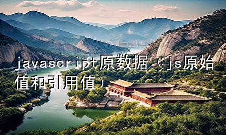 javascript原数据（js原始值和引用值）