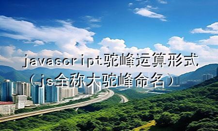 javascript驼峰运算形式（js全称大驼峰命名）