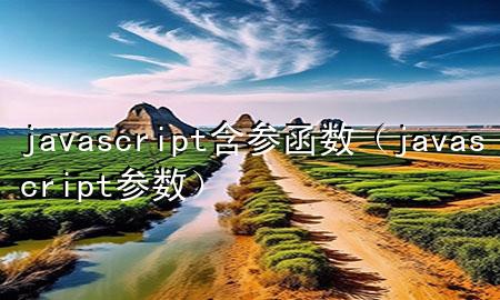 javascript含参函数（javascript 参数）