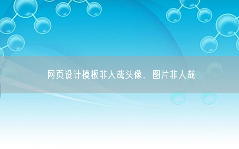 网页设计模板非人哉头像，图片非人哉